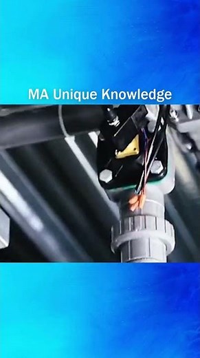 Modern Pig Farming Is Smarter Than You Think! 🐖💡| MA Unique Knowledge