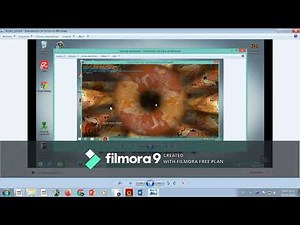 Como testear tu tarjeta grafica con FurMark