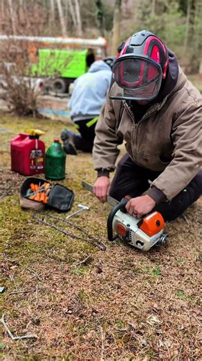 Watch Our Tree Crew in Action | AVL Tree Men