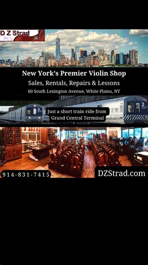 Orchestral String Instrument Rentals Made Easy @dzstradviolinshop 🎻---