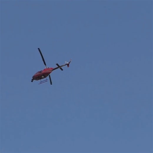 News helicopters everywhere! 🚁 | Exploring with the Nug