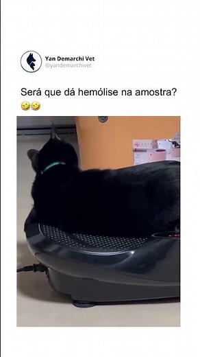 Você sabe o que é hemólise? mvyandemarchi.com.br #medvet #pet #fyp