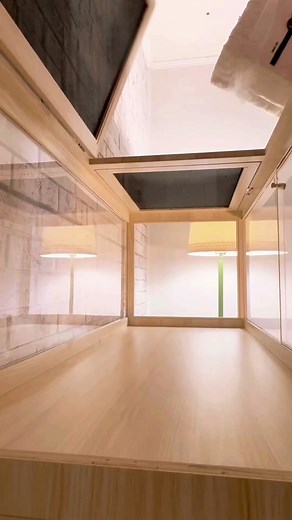 Hamster Cage Setups and Ideas