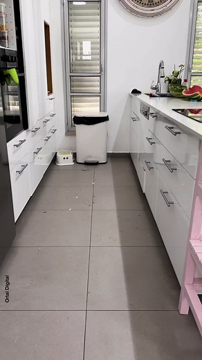 מטאטא יפני. מטאטא קסם, קטן וקל משקל. מגיע לכל מקום, גם לפינות הבעייתיות ביותר. ועכשיו ב-37% הנחה