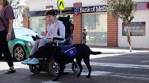 656 reactions · 89 shares | Why do Assistance Dogs love what they do? Click here to find out more: https://bit.ly/ADA-Ebony | Assistance Dogs Australia | Facebook