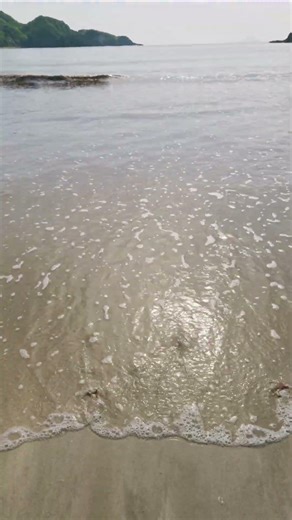 4月28日（火）今朝の弓ヶ浜さんぽ。#弓ヶ浜#南伊豆町#南伊豆さんぽ#朝の海#下田の干物屋