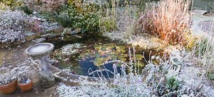 How to Winterize a Pond | DoItYourself.com