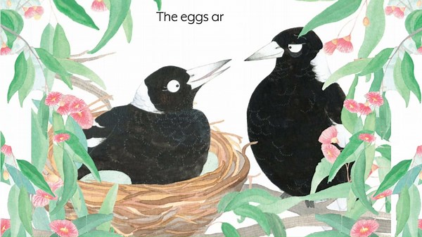 Get ready to discover a whole lot about birdlife through Swoop, a delightful picture book that teaches you all about Australian magpies and animal behaviour. Check it out here… | Better Reading Kids