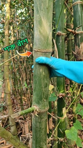 1.4M views · 19K reactions | Pocket Chain Saws . . . . . #foryoupagereels #explorepage #experiment #Amazing #pocketchainsaws #DibakarExperiment | Dibakar Experiment | Facebook