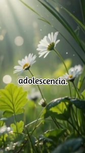 Reflexión De Amor on Reels