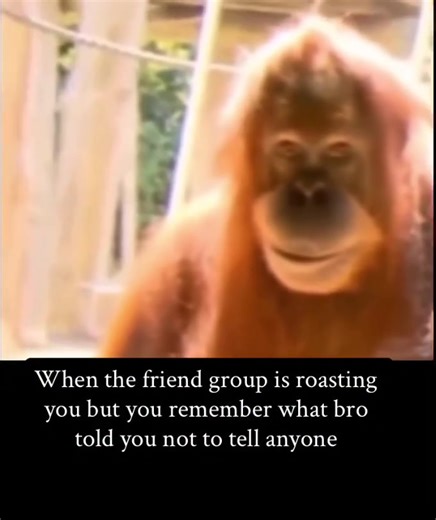 #brother #meme #memes | meme