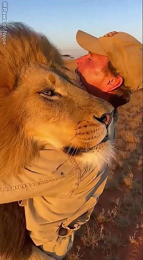 Pure beauty！❤️ #adoptstrays