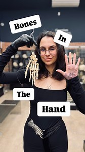9.3K views · 10K reactions | Some lovers try positions that they can’t handle: or the bones in the human hand. Let’s break down the 27 bones that give you the ability to grip, wave and gesture! | The Bone Museum | Facebook