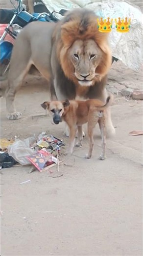 Million Views 🎉🔥1M Views Complete 👑✨Thank You for 1 Million ❤️🔥Road to 1M Completed 🚀👑1 Million Fa