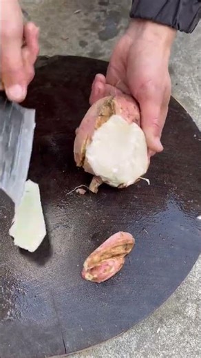 RT 90008322 mini rotary tillage and ridging all#in one 🌲 tree short view #rogator#shorts