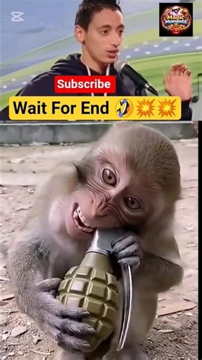 Monkey vs Rocket 🚀🔥 | Funniest Monkey Meme Ever 😂 #shorts #monkey #funny #viral #funnyanimals #memes