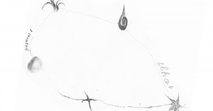 lost & found home(is)lands (through creole songs)