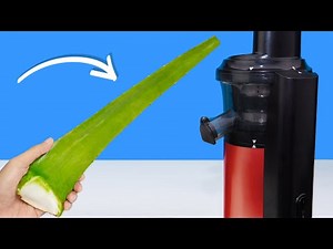 Experiment: Nyobain Bikin Jus Lidah BUAYA 👉🏻👍🏻👌🏻