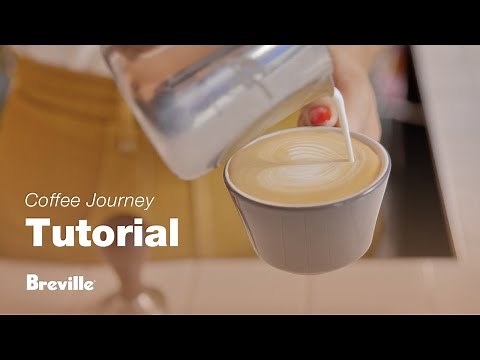 Coffee Tutorials | A guide to latte art at home | Breville USA