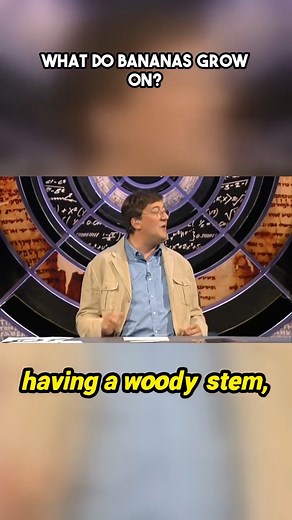 60K views · 712 reactions | What do bananas grow on?  Think...