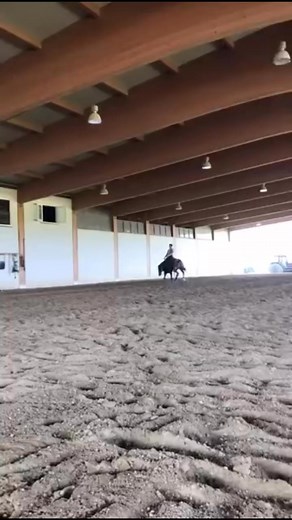 Barbara Bauer on Reels