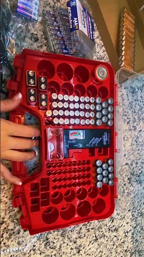 Battery Daddy Demo and Review | Organization Tips | Decluttering Tricks