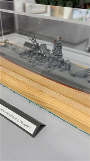 Musashi model