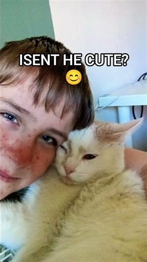 HES TO CUTE #cat #cats #cute #cutecat #cutecats 😊