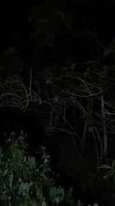 Masarap to adobo sa gata haha charrt😋😅 #reelsfbシ | Kim Vlogs