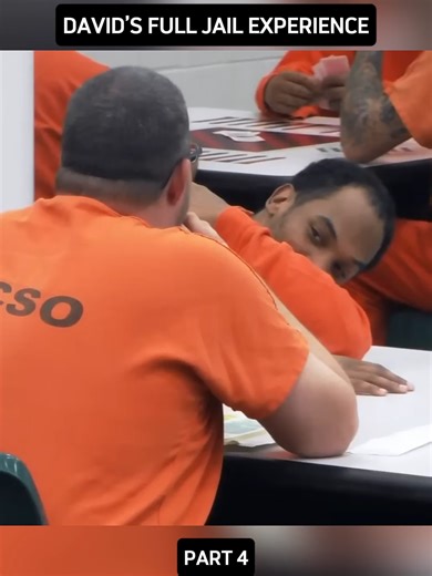 David's Full Jail Experience: Insights from Inside