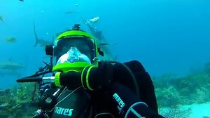33K views · 2.3K reactions | Super exciting .. Diving with sharks!!! #bahamas Guardian Full Face Mask | Scuba Diver Girls | Facebook