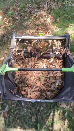 Friday eve sweep #lawncare #lawnsweeper #yardwork #diy #willitsweep? #cleantok #raking #mowing #leaves #maintenance #leaves