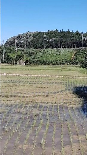 懐旧、舟木一夫さん「刈干切唄」。岐阜県関ヶ原辺りを走る新幹線。 宮崎県民謡で高千穂地方でよく歌われる労働歌。