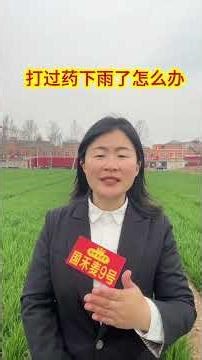 What to Do If Rain Hits After Applying Fertilizer? Agriculture Tips