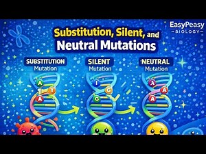Substitution, Silent, and Neutral Mutations Explained | Easy Peasy Genetics