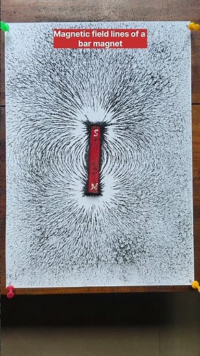 Magnetic field lines of a Bar Magnet with Iron Filings #shorts#physics #demonstration