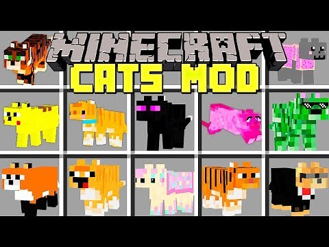 Minecraft CATS MOD / SPAWN, TAME, AND BREED 100+ NEW CATS! / Modded Mini-Game