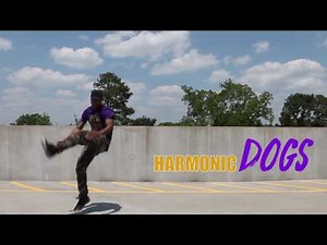 Atomic Dog Lyric Video