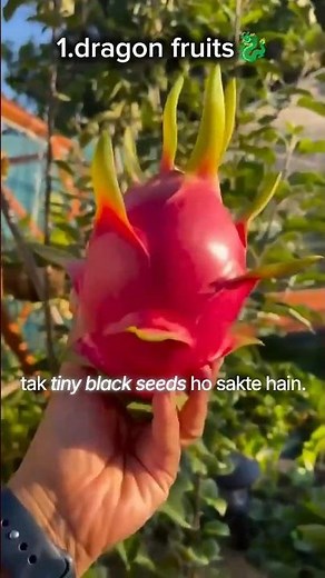 Top 5 Fruits With the Most Seeds! 🤯🍉