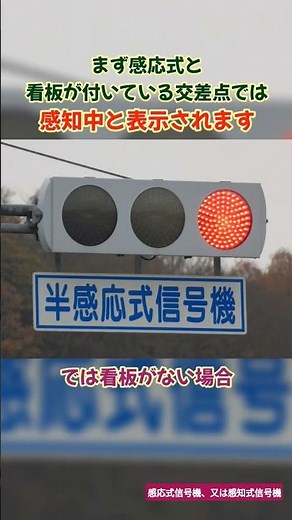 無限に変わらない信号が誕生する可能性がある感応式信号機とは？#shorts #信号機 #交通 #雑学