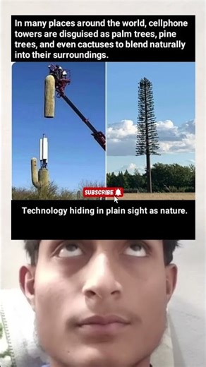Hidden Cellphone Towers 🌴🌲🌵 | Disguised as Palm Trees, Pines & Cactuses
