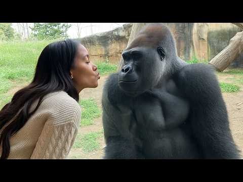 Funny & Unexpected Gorilla Reactions in Zoo 🐵😂 | Full Compilation Behind the Glass