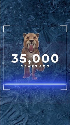 World's First Saber-tooth Tiger Cub Discovered in Permafrost