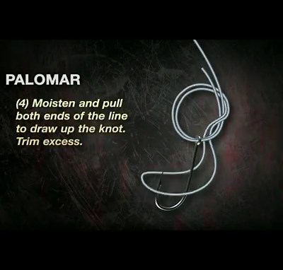 1.2K reactions · 1.7K shares | The palomar knot is very easy to tie and extremely strong. Palomar knot - Use for monofilament line Double Palomar Knot - Use for braided line Let us know if you use the palomar knot in the comments! | Basscasters | Facebook