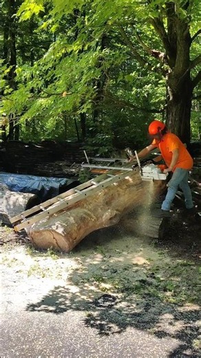 milling Siberian elm with Granberg Alaskan mill
