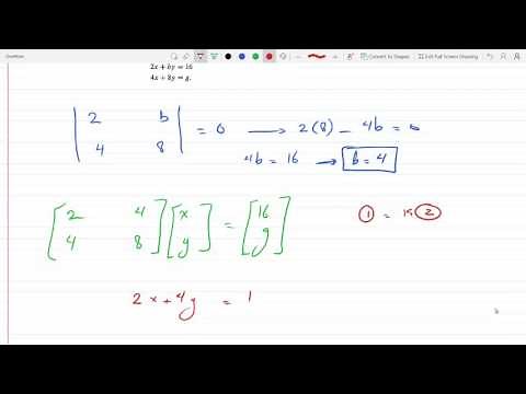 Explaining a Singular matrix and solving an indeterminate system 2-2-6