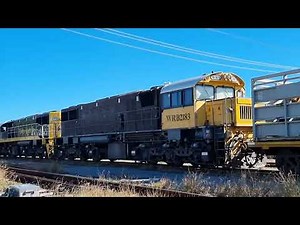 Watco East West Loaded Cattle train, Mackay yard.