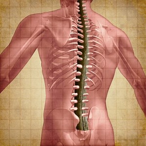 921 reactions · 570 shares | 1 Simple stretch may relieve severe Back Pain and Sciatica without having to leave the house. Presenting this simple, at-home 30 second stretch that can safely help relieve back pain:  https://smarturl.it/BackPainStretch  | Emily Lark - Back to Life | Facebook