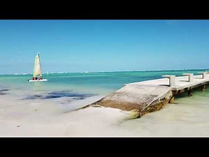 Beach Walk at Barcelo Bavaro Palace, Punta Cana | Exploring the Stunning Shoreline
