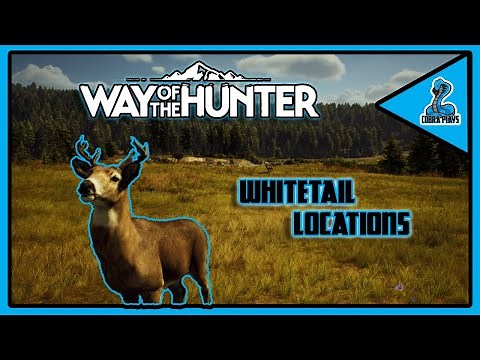 Whitetail Locations - Way of the Hunter